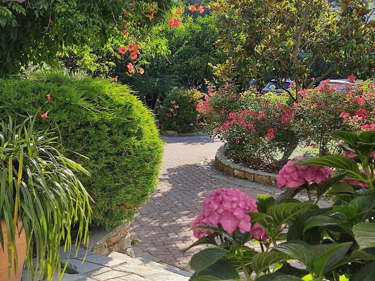 Ca De Rossana Bed&Breakfast 圣雷默 外观 照片